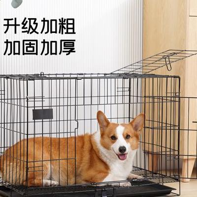 杭州遛狗打人案判决结果？适当的给些安抚是可以的，但不能太过分了。那么，杭州遛狗打人案判决结果？一起来了解下吧。