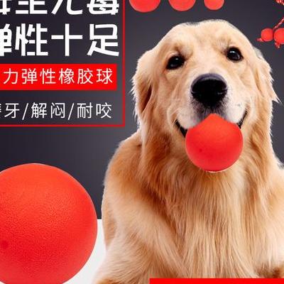 小区封闭允许遛狗吗北京？小区居民就是下楼活动影响不大，从内地回来的都居家隔离，小区内基本是安全的。那么，小区封闭允许遛狗吗北京？一起来了解下吧。