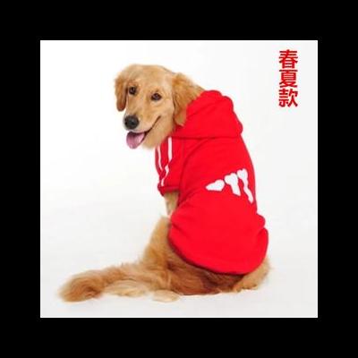 我有只宠物狗英语翻译？WangWanglikeseatingporkverymuch。那么，我有只宠物狗英语翻译？一起来了解下吧。